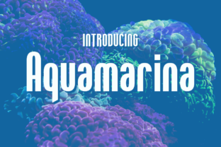Aquamarina: The Striking Display Font for Standout Designs
