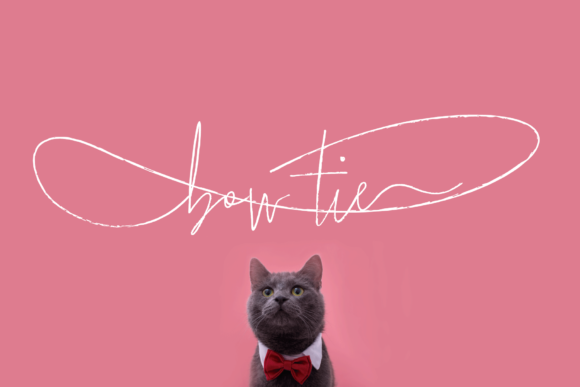 Bow Tie: The Elegant Script Font for Modern Web Design