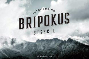 Bripokus Typeface Review for Bold Editorial Design