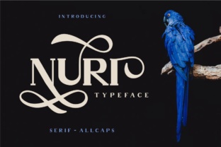 Nuri: The Elegant Display Typeface for Polished Branding