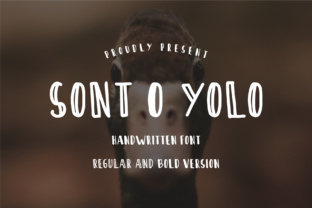 Sont O Yolo: The Striking Display Typeface for Bold Branding