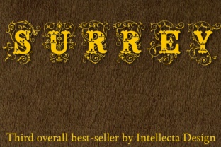 Surrey: The Vintage Display Font for Handmade Branding